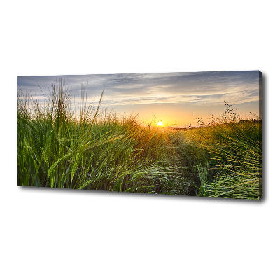Canvas foto Tarweveld