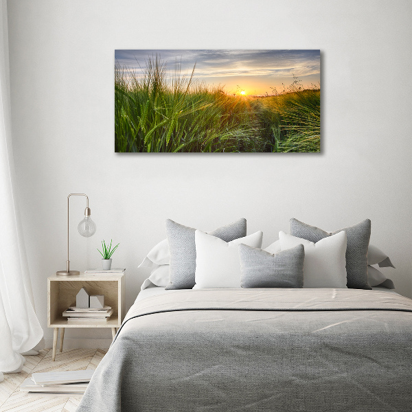 Canvas foto Tarweveld