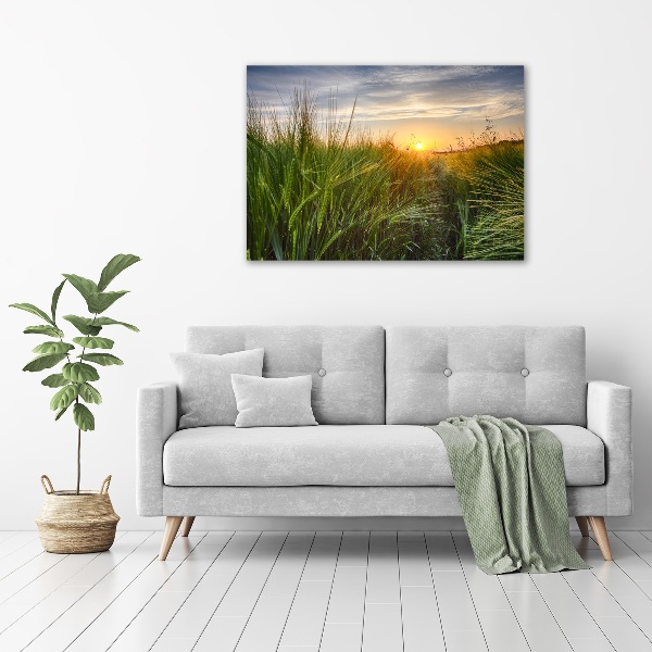 Canvas foto Tarweveld