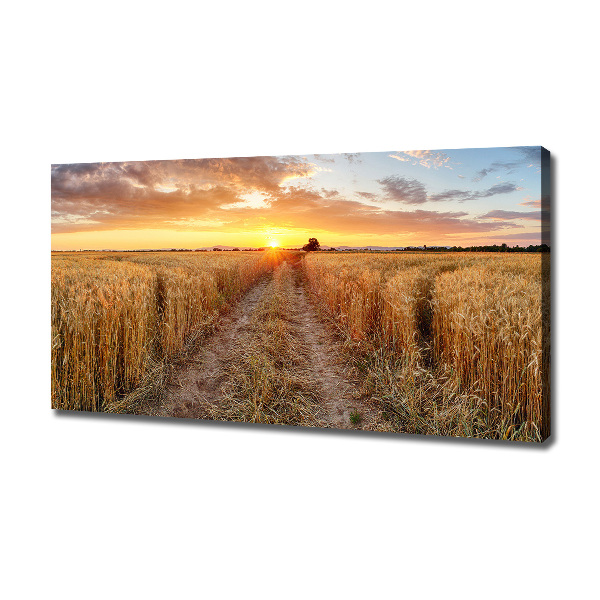 Canvas schilderij Tarweveld