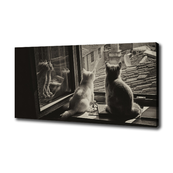 Canvas foto Katten voor het raam