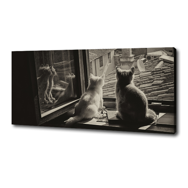 Canvas foto Katten voor het raam