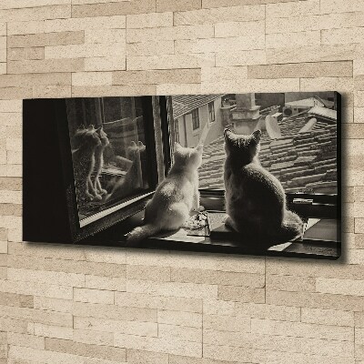Canvas foto Katten voor het raam
