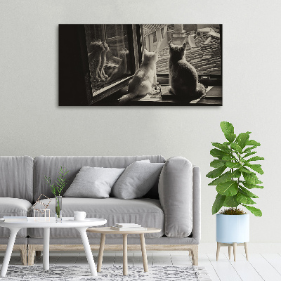 Canvas foto Katten voor het raam