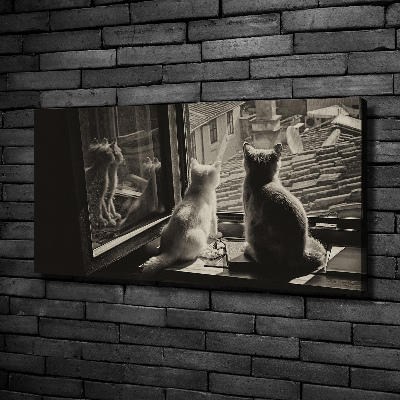 Canvas foto Katten voor het raam