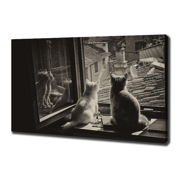 Canvas foto Katten voor het raam