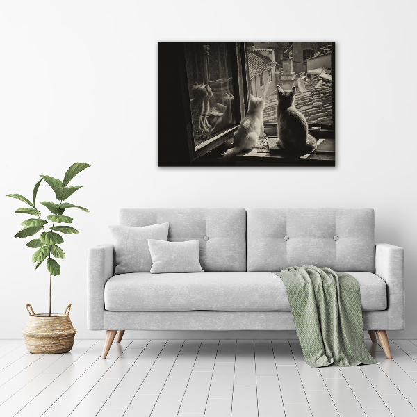 Canvas foto Katten voor het raam