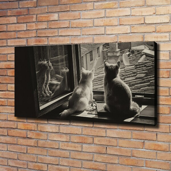 Canvas foto Katten voor het raam