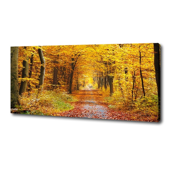 Foto canvas Bos in de herfst