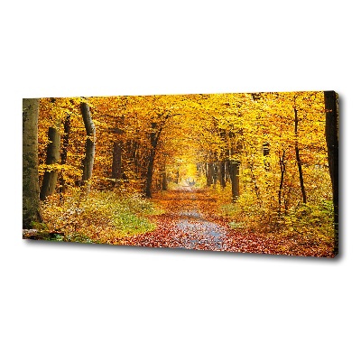 Foto canvas Bos in de herfst