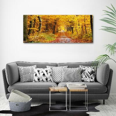Foto canvas Bos in de herfst
