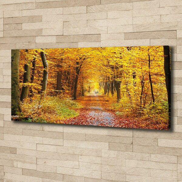 Foto canvas Bos in de herfst