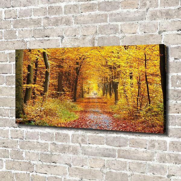 Foto canvas Bos in de herfst
