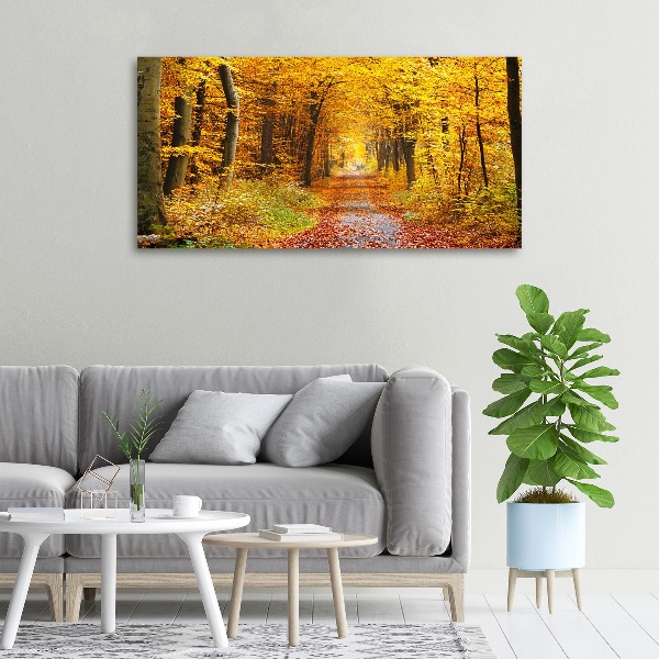 Foto canvas Bos in de herfst