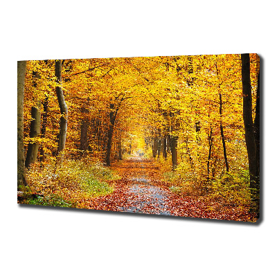 Foto canvas Bos in de herfst