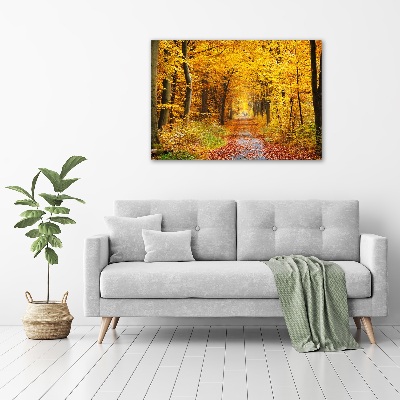 Foto canvas Bos in de herfst