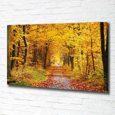 Foto canvas Bos in de herfst
