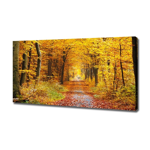 Foto canvas Bos in de herfst