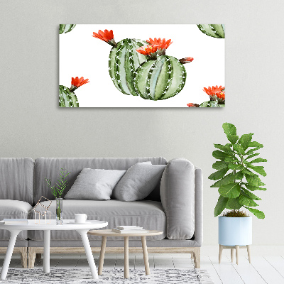 Canvas schilderij Cactussen