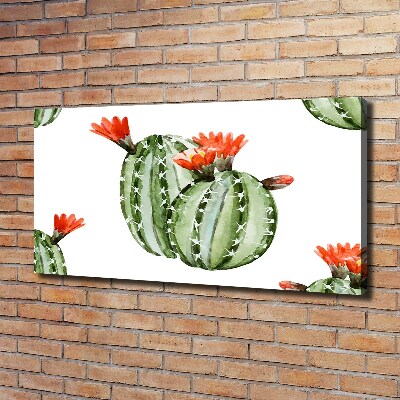 Canvas schilderij Cactussen