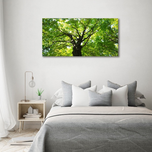Canvas foto Groen bos