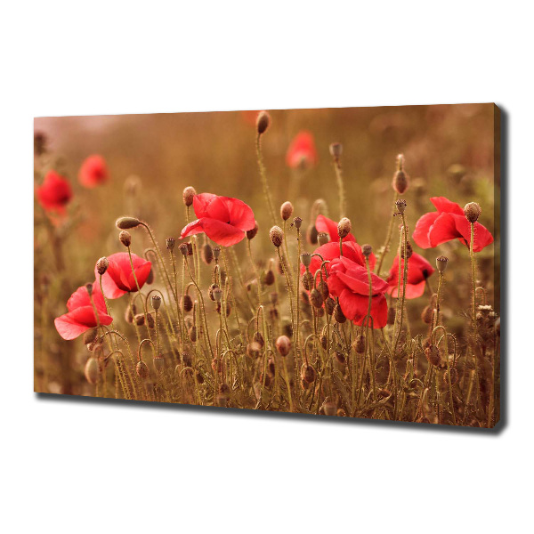 Canvas schilderij klaprozen drieluik