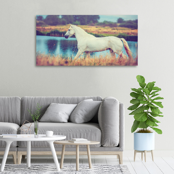 Schilderij op canvas Wit Paardenmeer