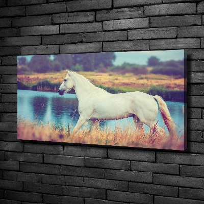 Schilderij op canvas Wit Paardenmeer