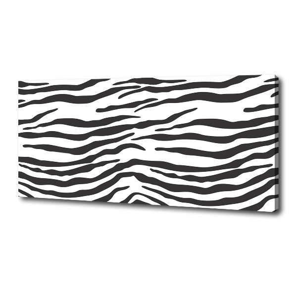 Foto op canvas Zebra-achtergrond