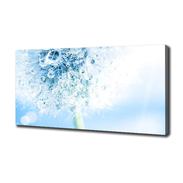 Schilderij op canvas Paardebloem