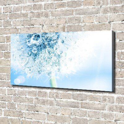 Schilderij op canvas Paardebloem