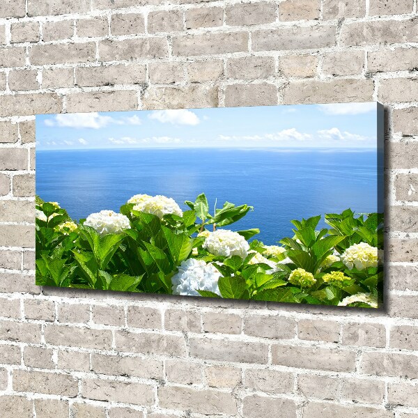 Schilderij op canvas Bloemen aan zee