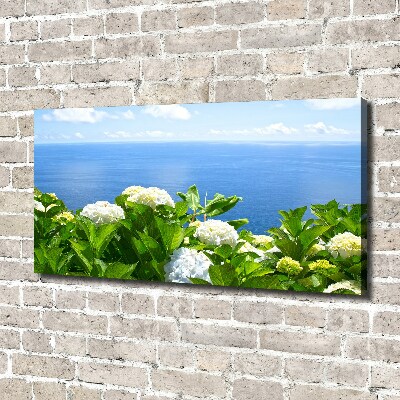 Schilderij op canvas Bloemen aan zee