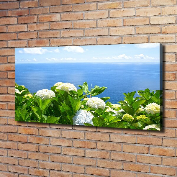 Schilderij op canvas Bloemen aan zee