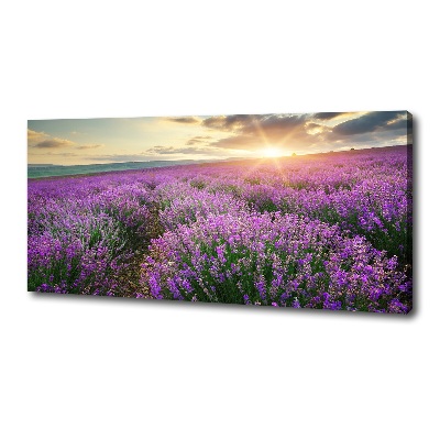 Canvas foto Lavendelveld