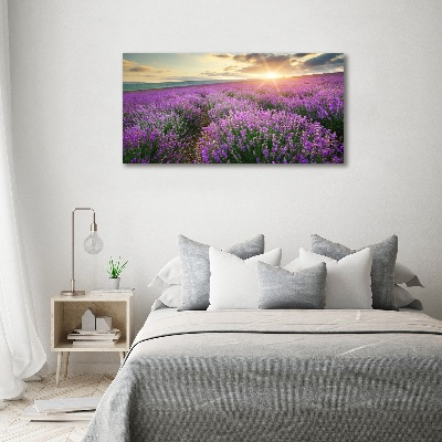 Canvas foto Lavendelveld