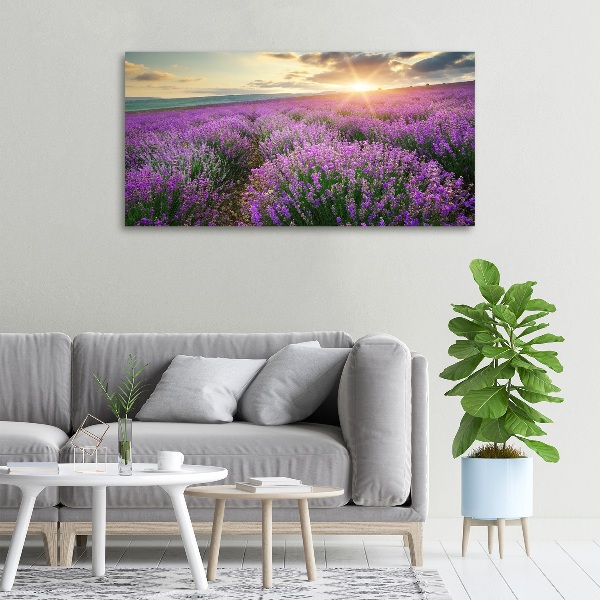 Canvas foto Lavendelveld