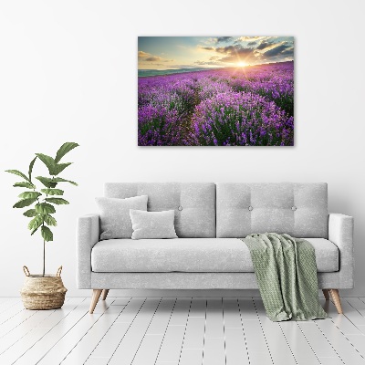 Canvas foto Lavendelveld