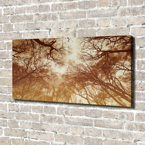 Foto op canvas Woud
