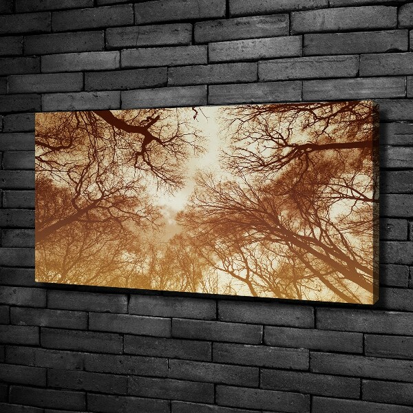 Foto op canvas Woud