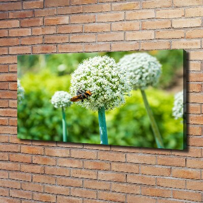 Canvas foto Bloeiende knoflook
