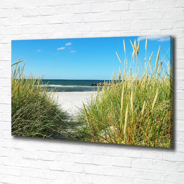 Foto op canvas duinen aan zee