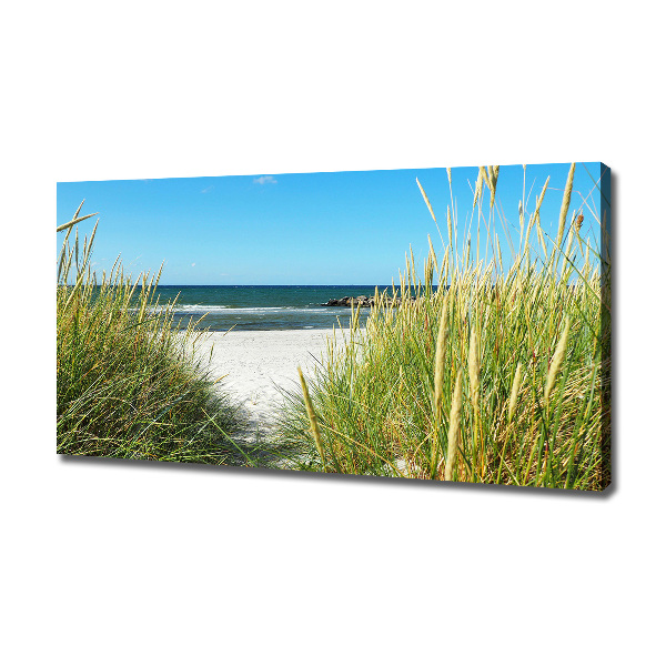 Foto op canvas duinen aan zee