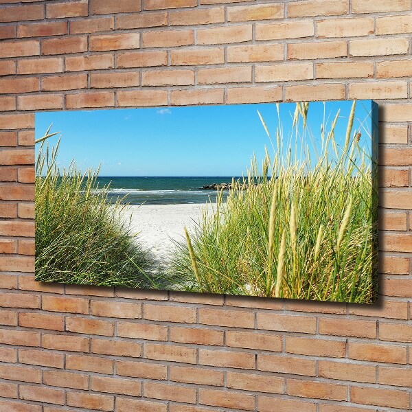 Foto op canvas duinen aan zee
