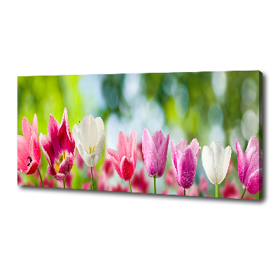 Schilderij op canvas Tulpen