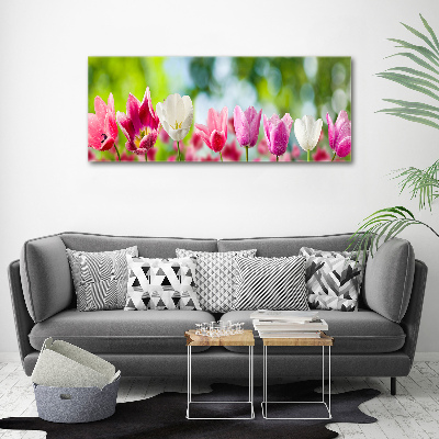 Schilderij op canvas Tulpen