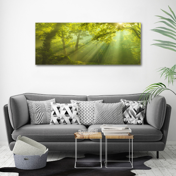 Canvas foto Bos in de zon