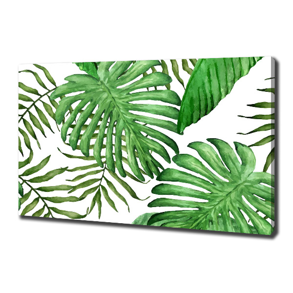 Foto obraz na płótnie Tropikalne liście