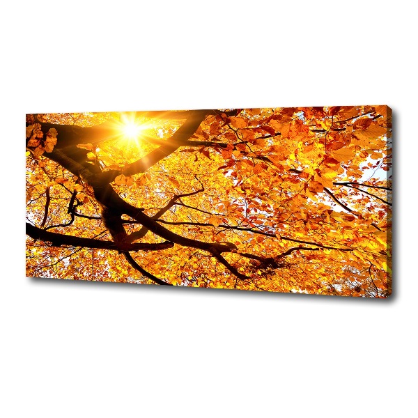 Foto op canvas Herfstboomkroon