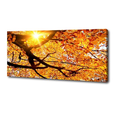 Foto op canvas Herfstboomkroon